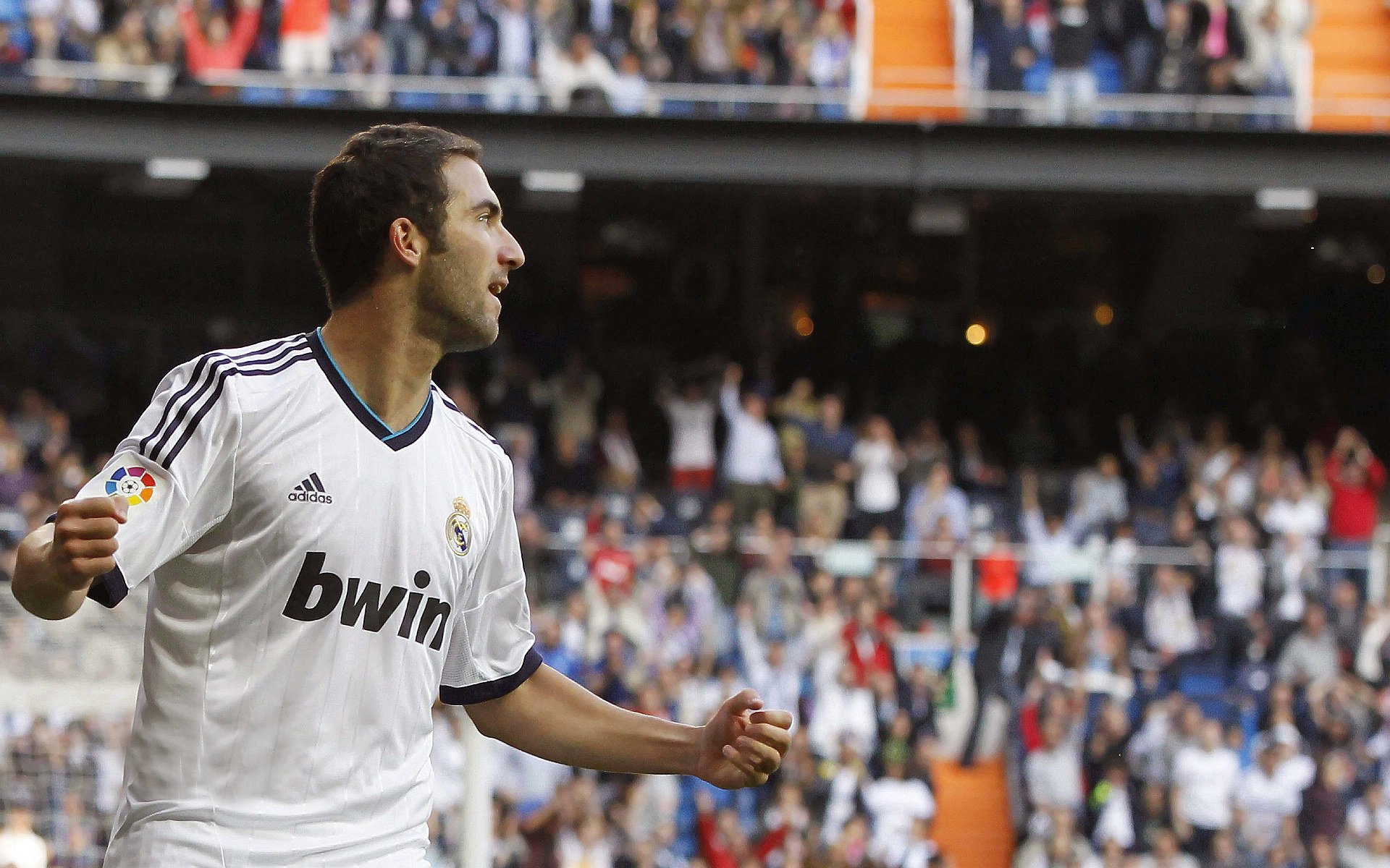 开云体育直播-巴斯托尼关键战不手软，荷兰强势晋级尼斯